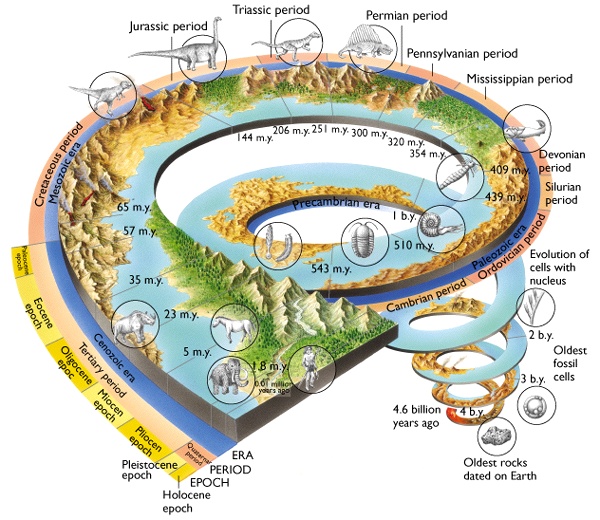 text: geological times spiral