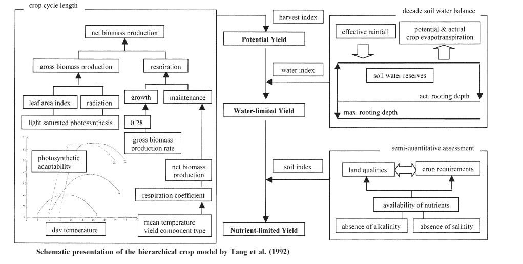text:hierarchicalcropmodel