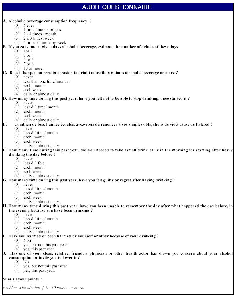 Audit Questionnaire